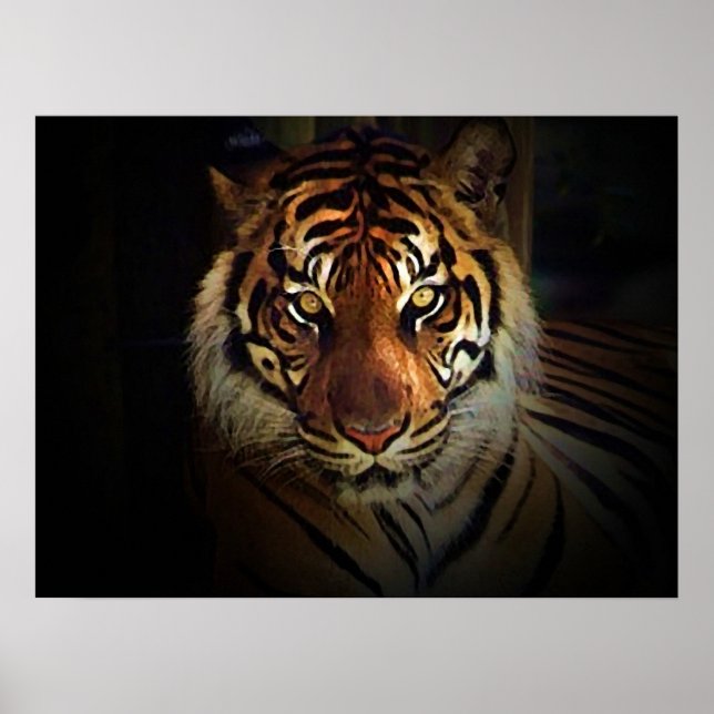 Motivierend Augen von Tiger in Shadow Poster druck (Vorne)