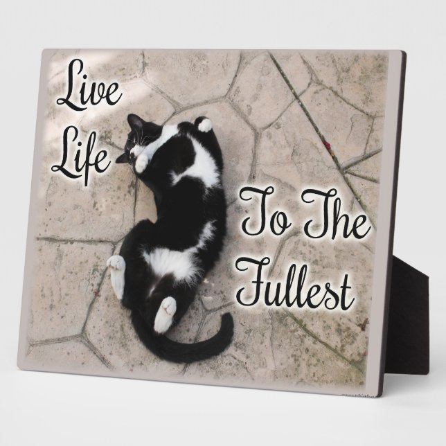 Motivierend Cat-Slogan-Zitat von Live to Fullest Fotoplatte (Seite)