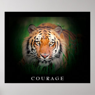 Motivierend Courage Tiger Eyes Poster