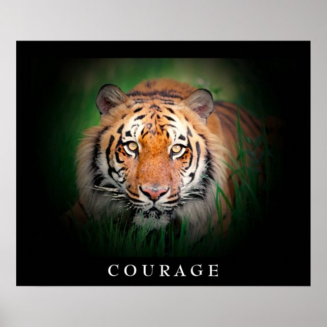Motivierend Courage Tiger Eyes Poster (Vorne)