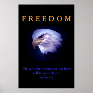 Motivierend Freedom Courage Eagle Poster Print