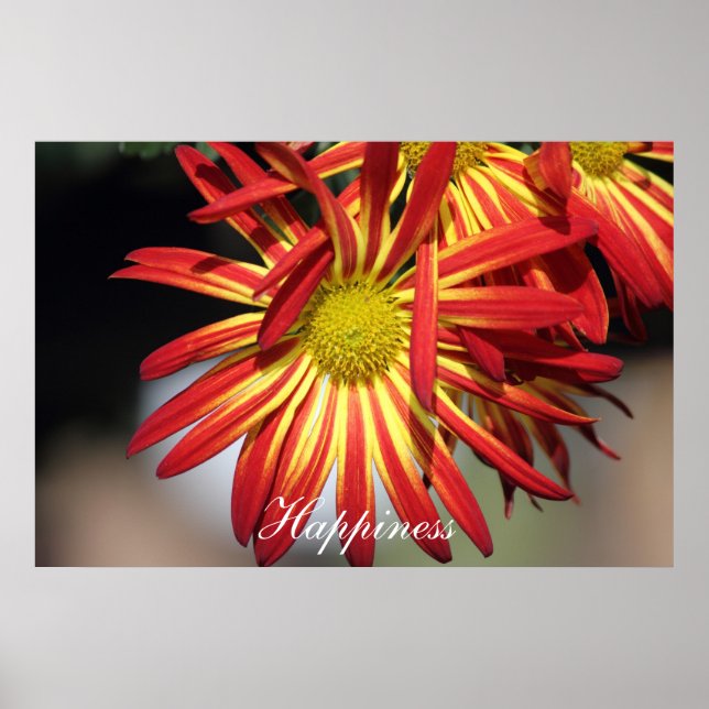 Motivierend Glück Poster (Vorne)