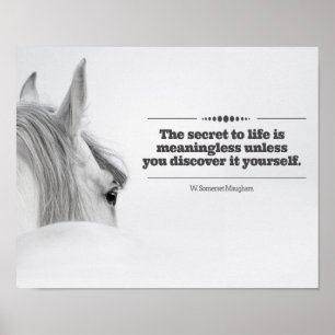 Motivierend Plakat "das Geheimnis zum Leben… "