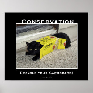 Motivierend Plakate für Black Cat