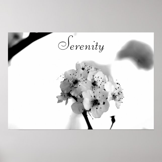 Motivierend Poster-Serenity Poster (Vorne)