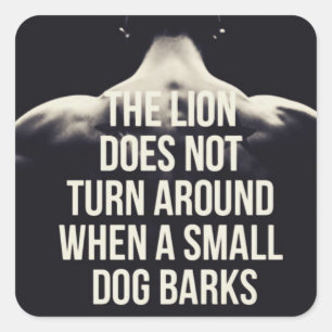 Motivierend Worte: Der Löwe dreht sich nicht um Quadratischer Aufkleber