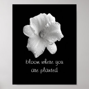 motivierend Zitat-Poster-Lilienfotografie Poster