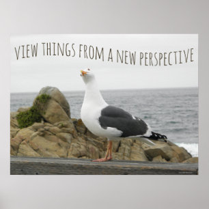 Motivierender Neue Perspektive Möwe Vogel Ausspruc Poster
