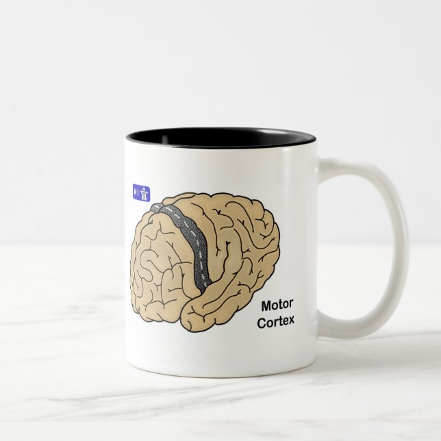 Motor Cortex Zweifarbige Tasse (Rechts)