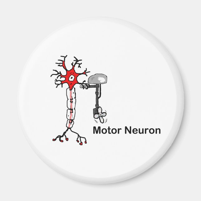 Motor Neuron Magnet (Vorne)