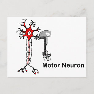 Motor Neuron Postkarte
