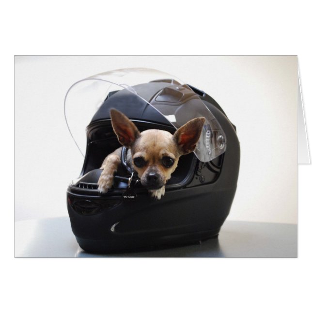 Motorrad Chi (Vorderseite (Horizontal))