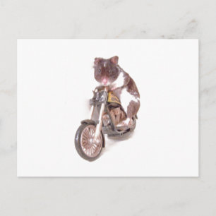 Motorradhamster-Postkarte Postkarte