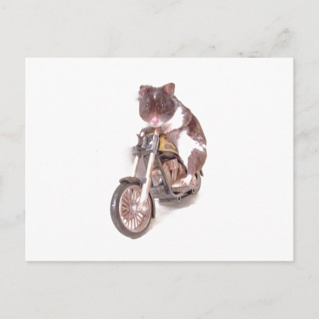 Motorradhamster-Postkarte Postkarte (Vorderseite)