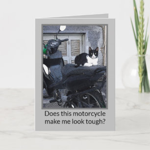 MOTORRADKATZE/SPASS