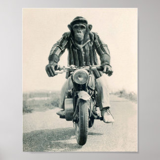 Motorradmonkey, Ape on Motorrad, Vintag Poster