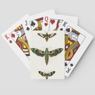 Motte 1 vintage illustriert spielkarten
