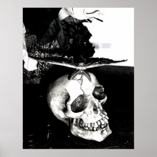 Motte auf dem Schädel Poster