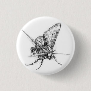 Motte Button