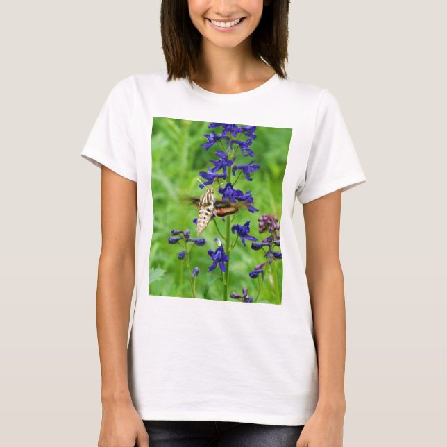 Motte Hummingbird T-Shirt (Vorderseite)