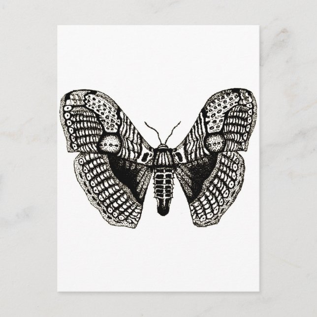 Motte Postkarte (Vorderseite)