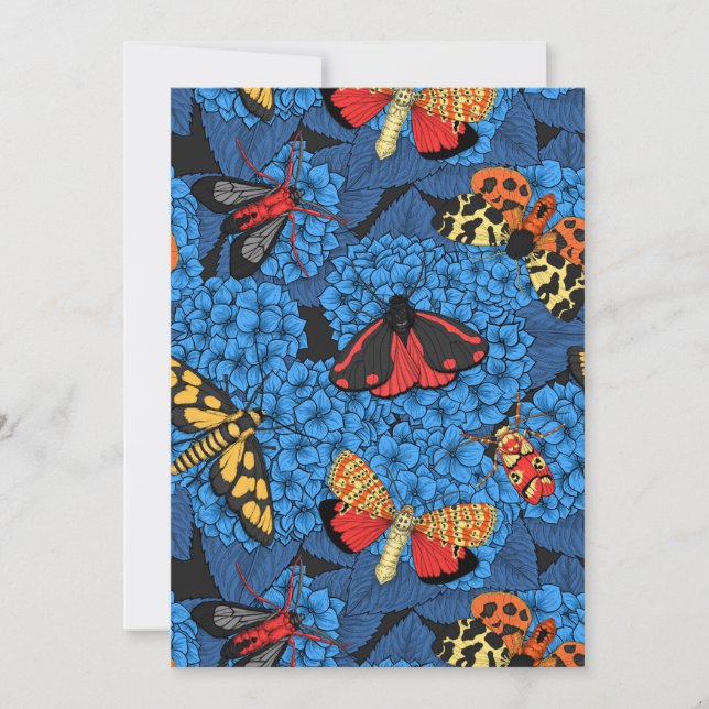 Motten auf blauem Hydrangea (Vorderseite)