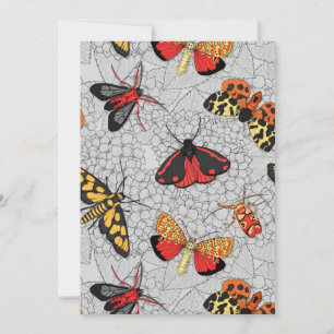 Motten auf Hydrangea