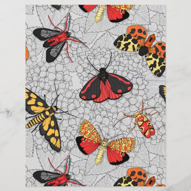 Motten auf Hydrangea (Vorderseite)