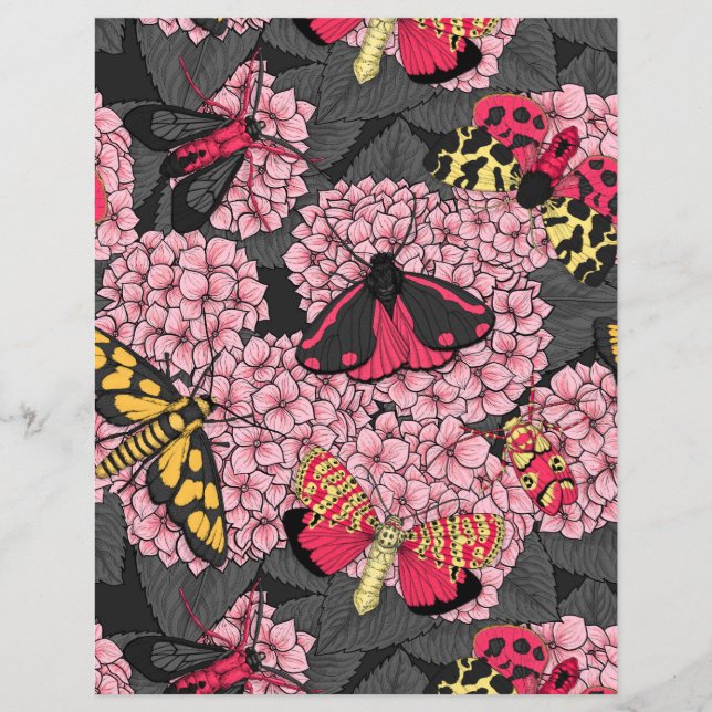 Motten auf rosa Hydrangea (Vorderseite)