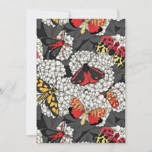 Motten auf weißem Hydrangea