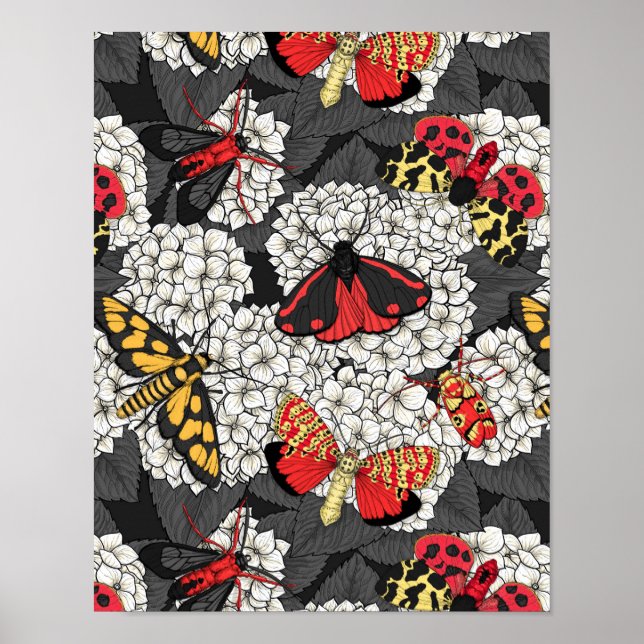 Motten auf weißem Hydrangea Poster (Vorne)