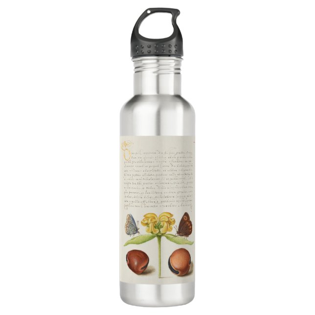 Motten, Jerusalem-Weide und Bohnenkalligraphie Edelstahlflasche (Vorderseite)