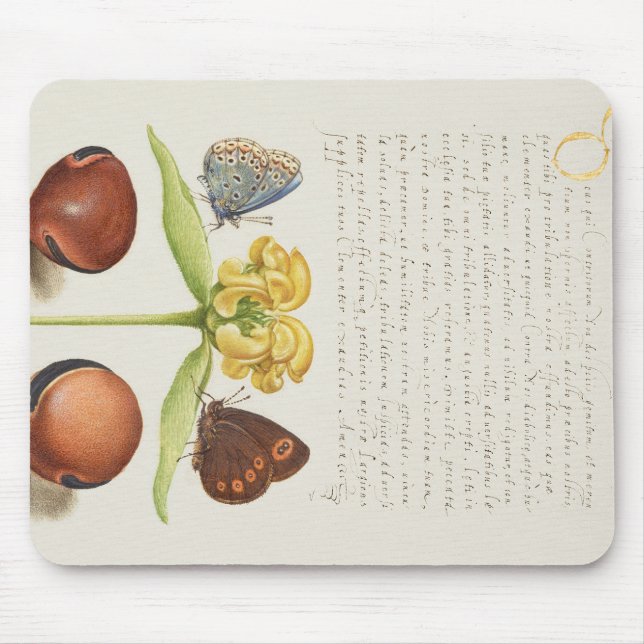 Motten, Jerusalem-Weide und Bohnenkalligraphie Mousepad (Vorne)