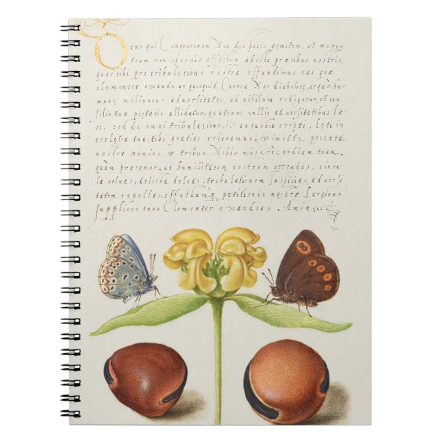 Motten, Jerusalem-Weide und Bohnenkalligraphie Notizblock (Vorderseite)