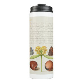 Motten, Jerusalem-Weide und Bohnenkalligraphie Thermosbecher