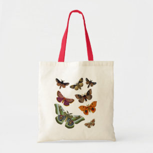 Motten-Platte 3 Tragetasche