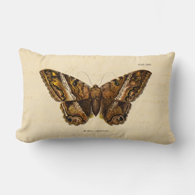 Motten-Schablonen-Schmetterling Vintage 1800s Lendenkissen (Vorderseite)