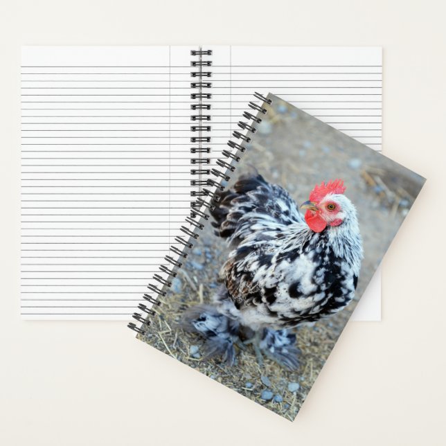Mottles Bantam Cochin Chicken Journal Notizbuch (Innen)