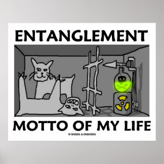 Motto meines Lebens (Quantenphysik) Poster