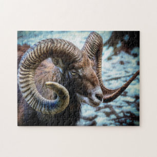 Mouflon am See Puzzle