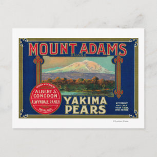 Mount Adams Pear Crate LabelYakima, WA Postkarte