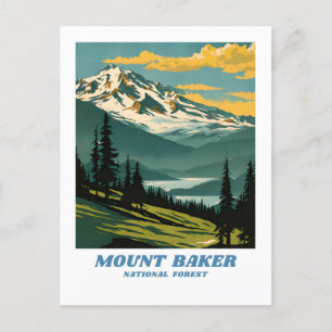 Mount Baker National Forest Illustration Retro Aes Postkarte