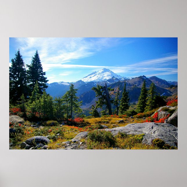 Mount Baker Poster (Vorne)