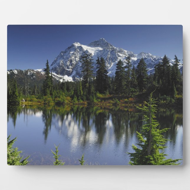 Mount Baker-Snoqualmie-Nationalwald Fotoplatte (Vorderseite)