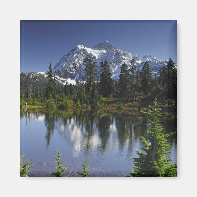 Mount Baker-Snoqualmie-Nationalwald Magnet (Vorne)