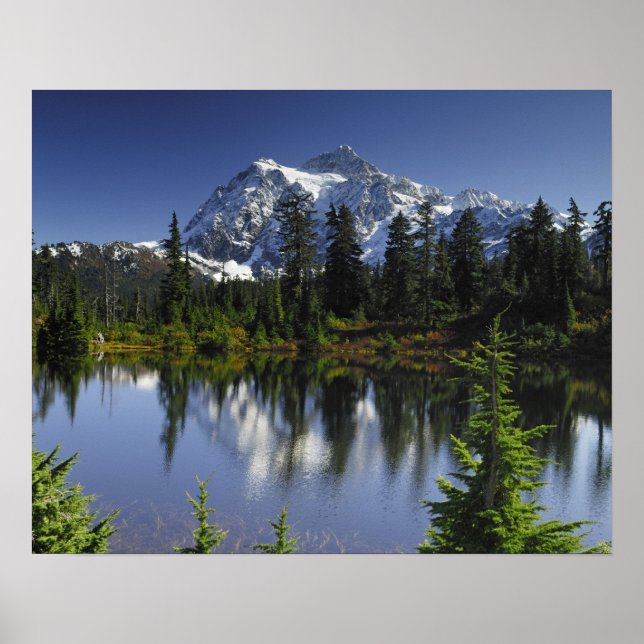 Mount Baker-Snoqualmie-Nationalwald Poster (Vorne)