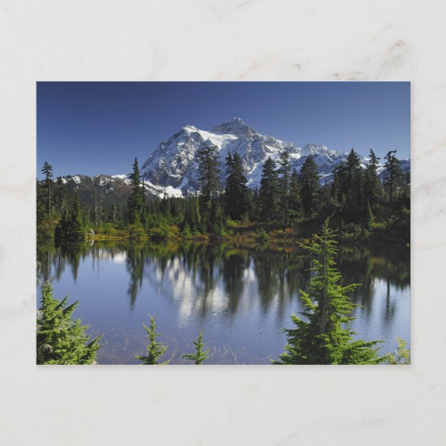 Mount Baker-Snoqualmie-Nationalwald Postkarte (Vorderseite)