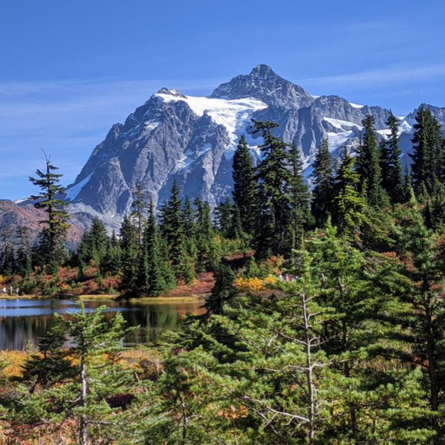 Mount Baker, Washington Fall Color Poster (Von Creator hochgeladen)