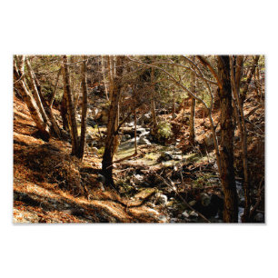 Mount Baldy Fotodruck