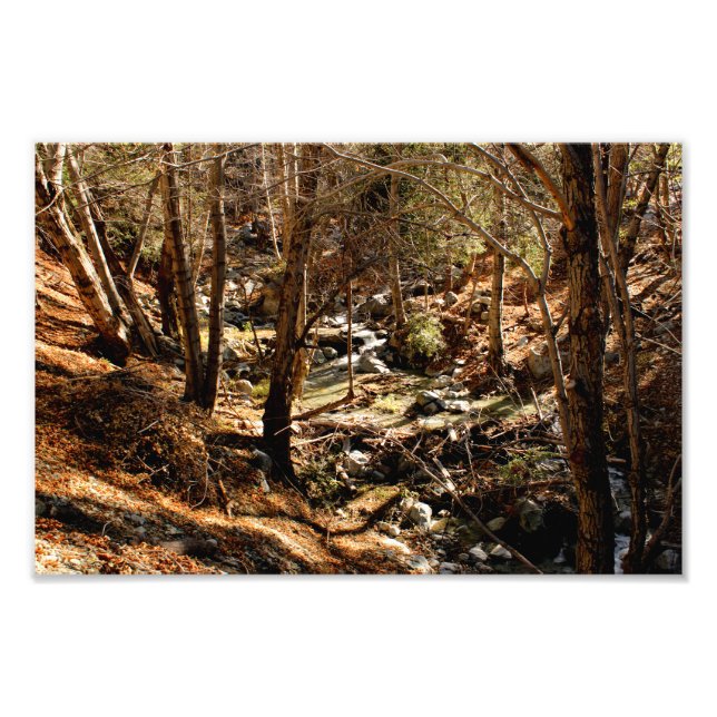 Mount Baldy Fotodruck (Vorne)